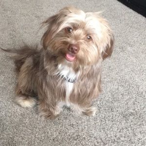 Meet your Posher, Macy